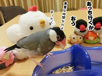 ブンチョ日誌