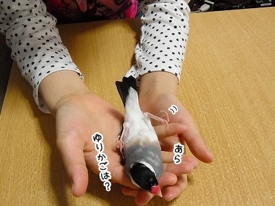 ブンチョ日誌