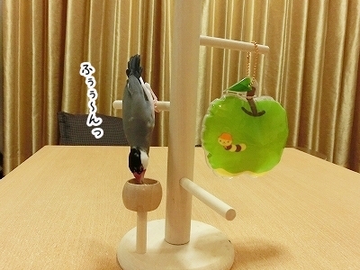 ブンチョ日誌
