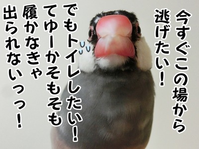 s-CIMG0283