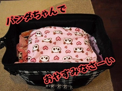 ブンチョ日誌