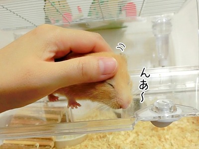 s-CIMG2692