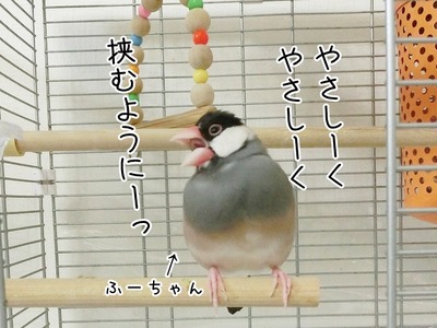 s-CIMG0125