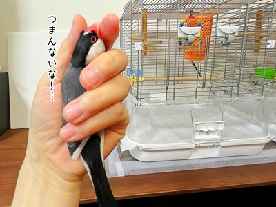 s-IMG_5015