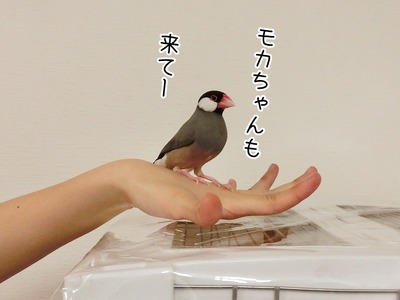 s-CIMG5268