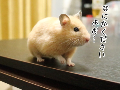 247ED589-432A-4EAE-9441-9D96753D4848