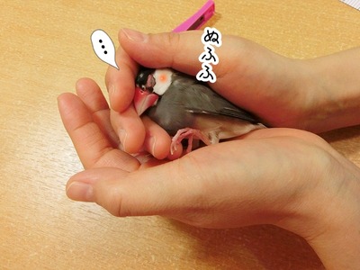 s-CIMG5935
