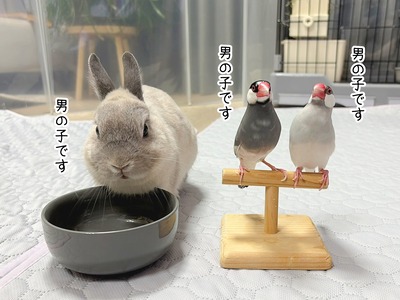 2.5