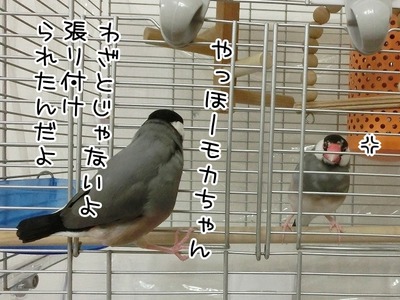 s-CIMG7112