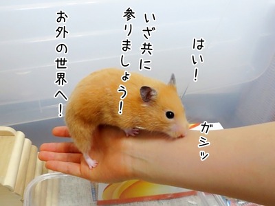 s-IMG_2110