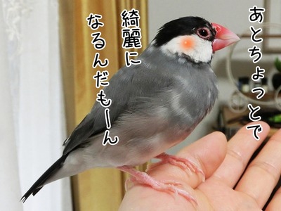 s-CIMG9431