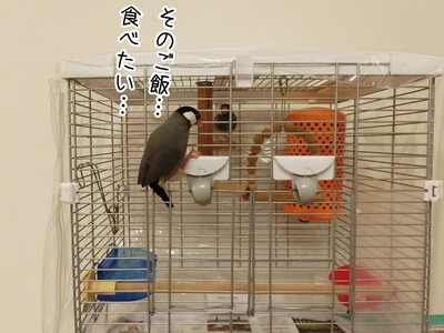s-CIMG8281