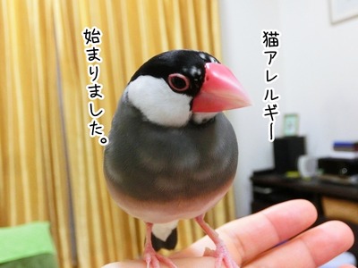 s-CIMG4478