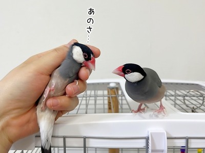 s-IMG_9140