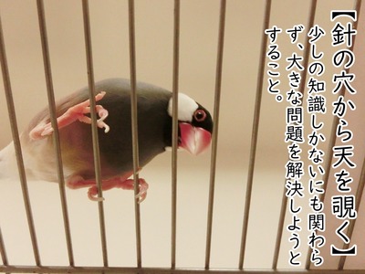 CIMG5688