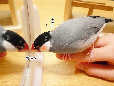 ブンチョ日誌