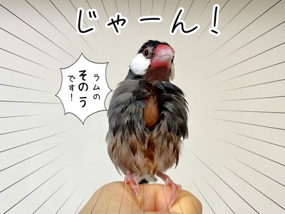 s-IMG_3035