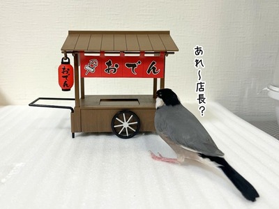 s-IMG_5227