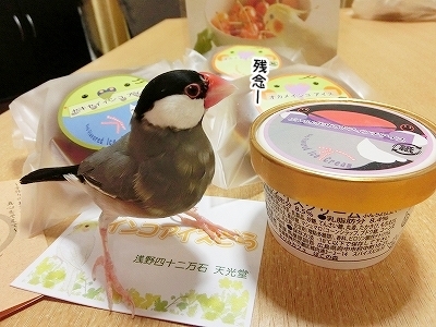 ブンチョ日誌