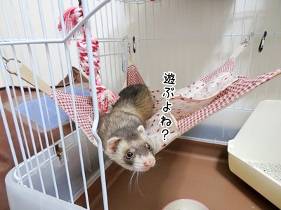 s-IMG_3106