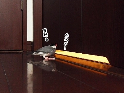 ブンチョ日誌