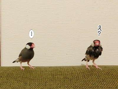 s-CIMG0287