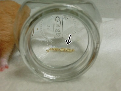 s-CIMG0782
