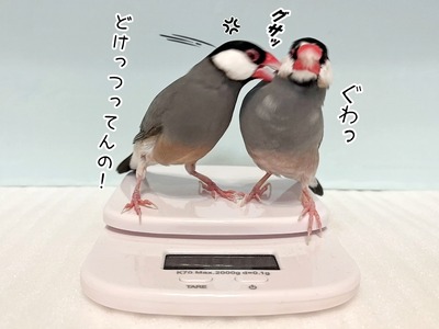 s-IMG_5346