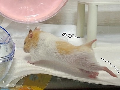s-IMG_1618