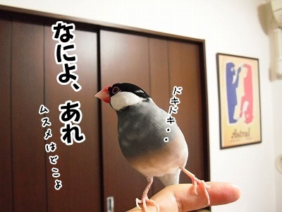 ブンチョ日誌