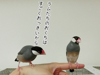 s-CIMG0168