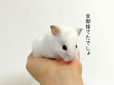 s-IMG_8209