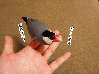 ブンチョ日誌