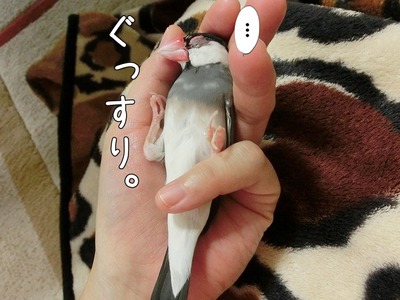 s-CIMG7229