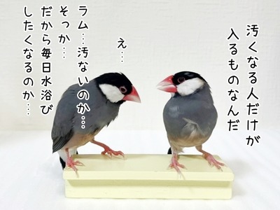 5413cb0f