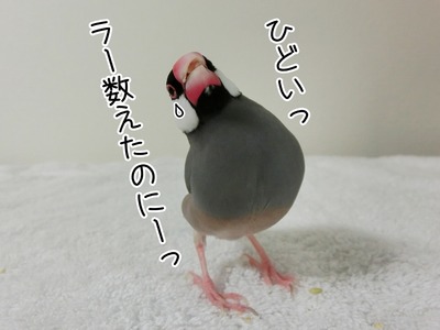 s-CIMG0138