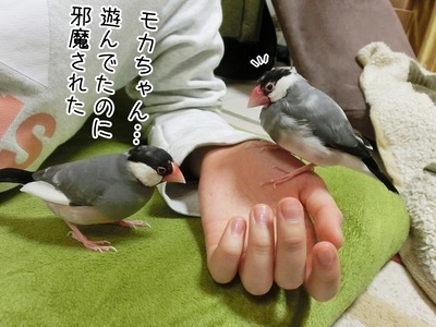 s-CIMG5868