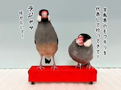 ５