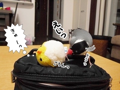 ブンチョ日誌