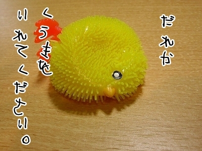 ブンチョ日誌