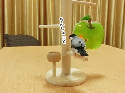 ブンチョ日誌