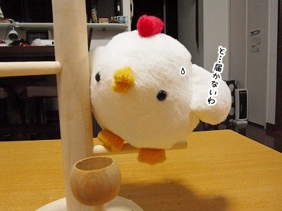 ブンチョ日誌
