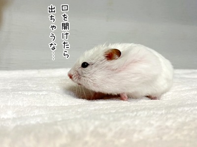 s-IMG_7227