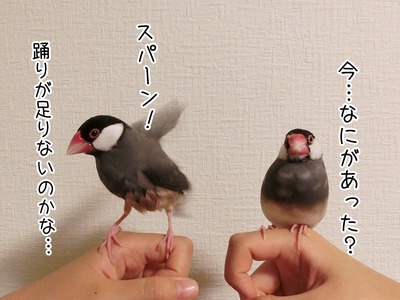 s-CIMG3233
