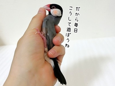 s-IMG_6699