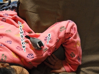 ブンチョ日誌