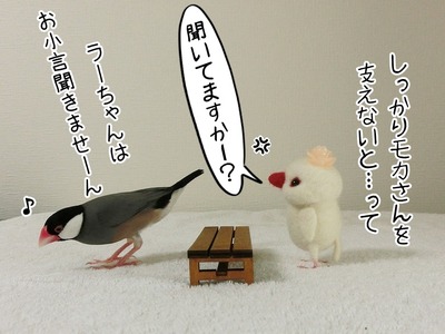 s-CIMG0253