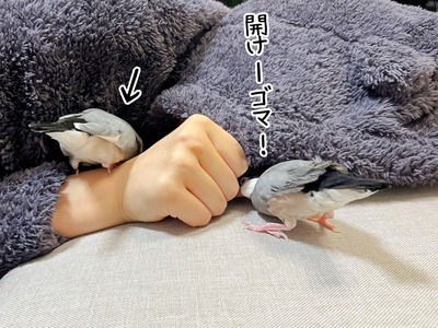 11