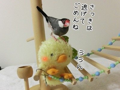 s-CIMG4554