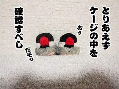 ブンチョ日誌